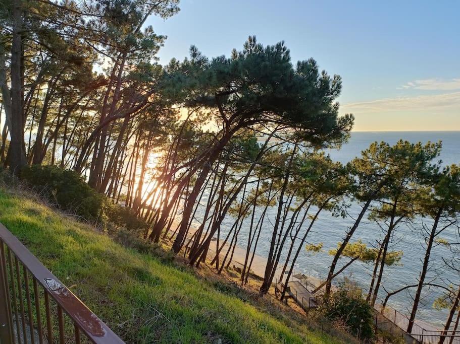 Chez Ced - Gujan-Mestras / Bassin D'Arcachon ภายนอก รูปภาพ